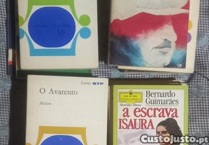 imagem_6