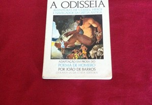 imagem_4