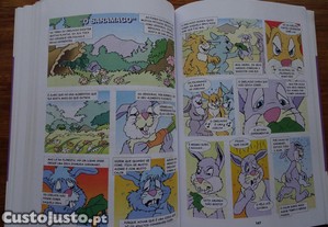 imagem_4