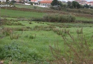 Terreno sito na Vestiaria - Alcobaça