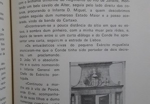 imagem_4