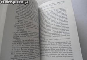 imagem_8