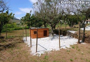 Casota para pastor alemao