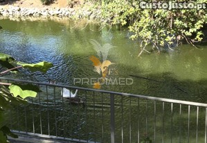 imagem_32