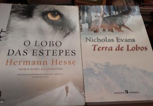 Obras de Hermann Hesse e Nicholas Evans