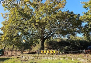 imagem_37