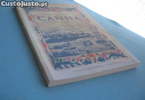 imagem_8