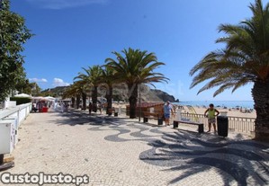 imagem_31