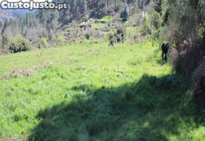 Terreno Moimenta da Beira