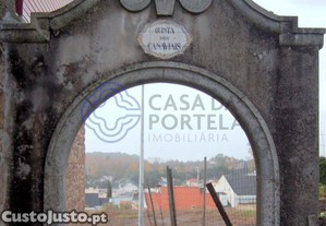 imagem_22