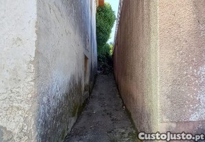 imagem_13