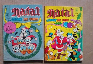 imagem_4