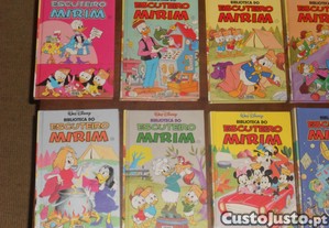 imagem_5