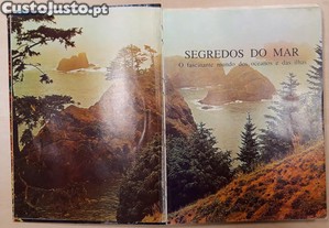 imagem_6