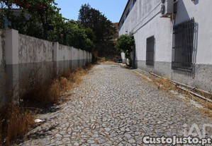 imagem_12