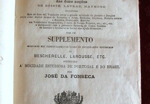 Novo dicionário Francez Português 1879