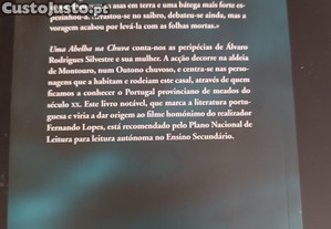 imagem_7