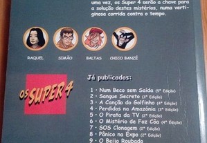 imagem_2