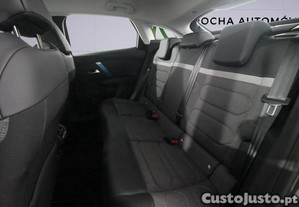 imagem_13