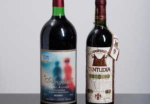 imagem_8