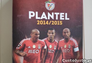 imagem_1