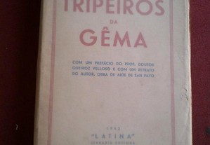 imagem_6
