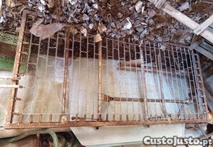 imagem_7