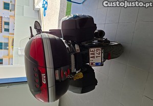 imagem_1