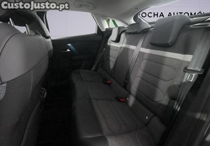 imagem_13