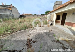 imagem_29