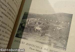 imagem_7