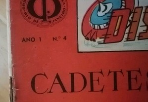 imagem_4