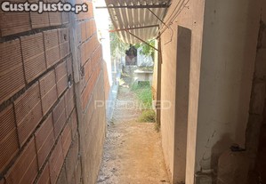 imagem_12