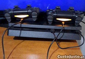imagem_1