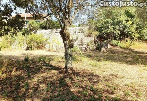 Terreno para construção de moradia em Geria, às portas da cidade de Coimbra