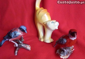 Pássaros e Gato da V.A.P. mão