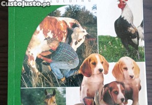 imagem_1