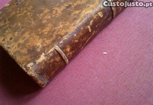 imagem_6