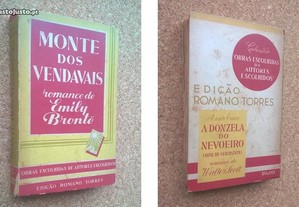 Monte dos Vendavais, Emily Brontë