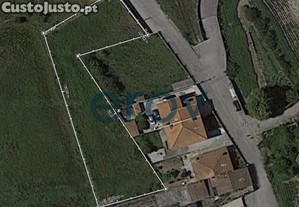 imagem_11