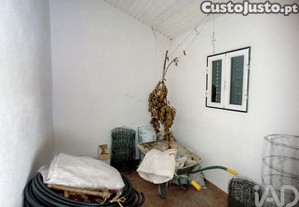 imagem_18