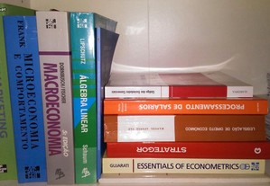 Livros Académicos Economia e Gestão