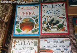 imagem_1