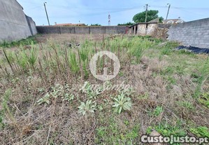 imagem_21
