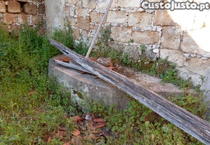 imagem_7