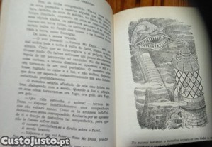 imagem_7