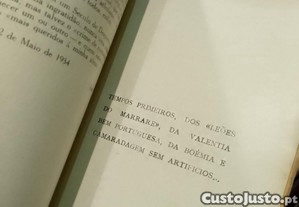 imagem_8