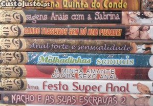 imagem_13