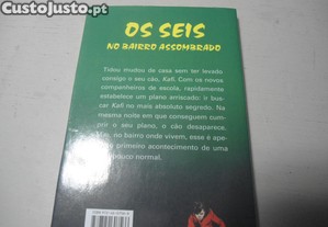 imagem_4