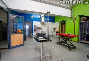 Espaço comercial na cancela caniço santa cruz